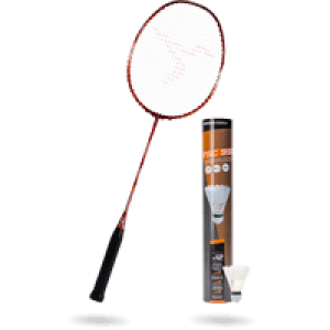 Môn thể thao bạn yêu thích Cầu lông